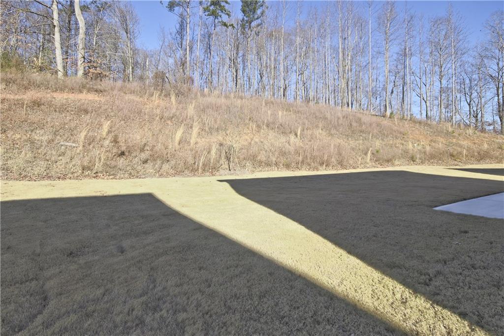 7332 Rocklin Lane Flowery Branch, GA 30542 - Photo 29 of 32