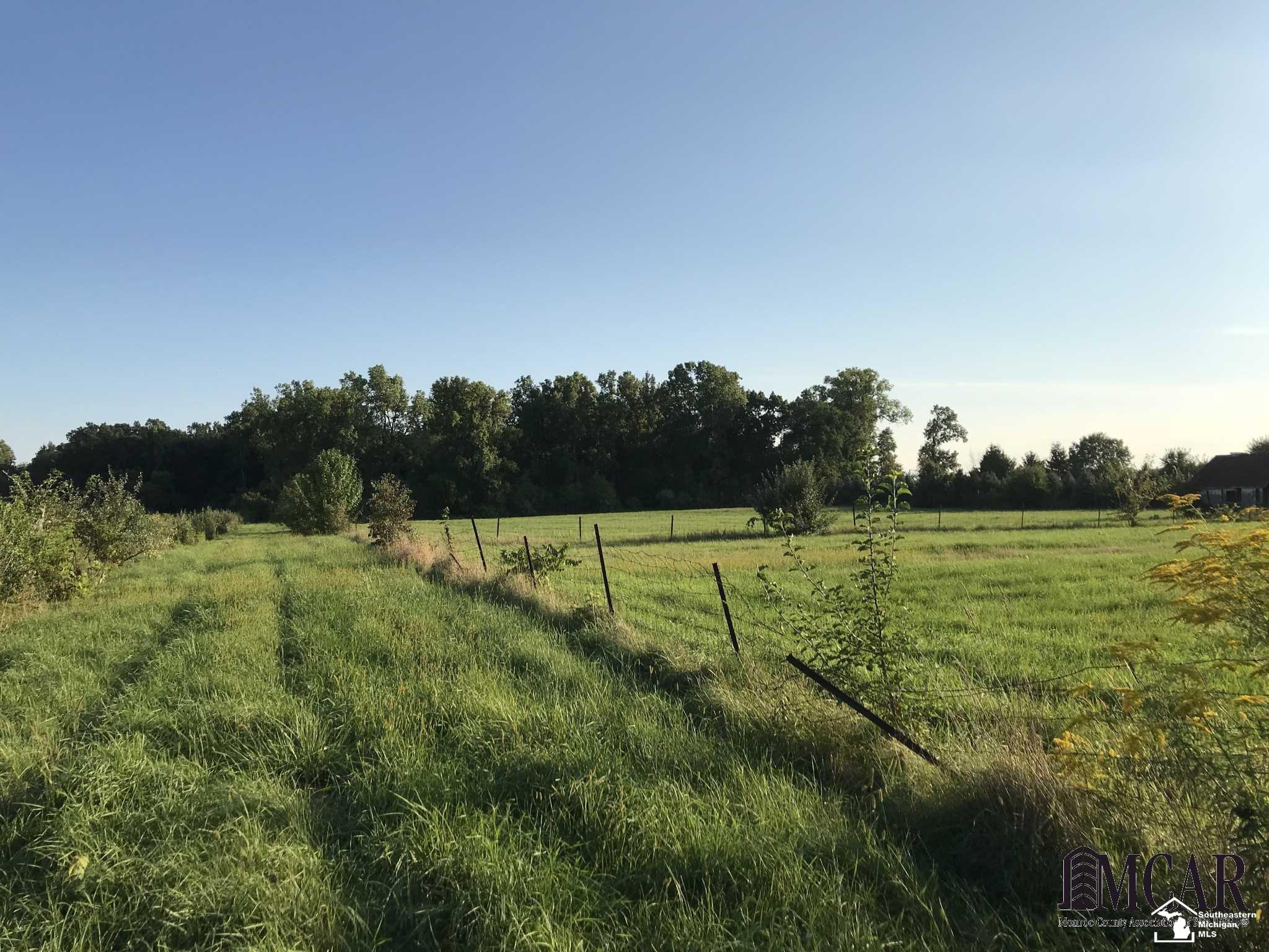 2251 West Albain Road Monroe, MI 48161 - Photo 44 of 45 Field