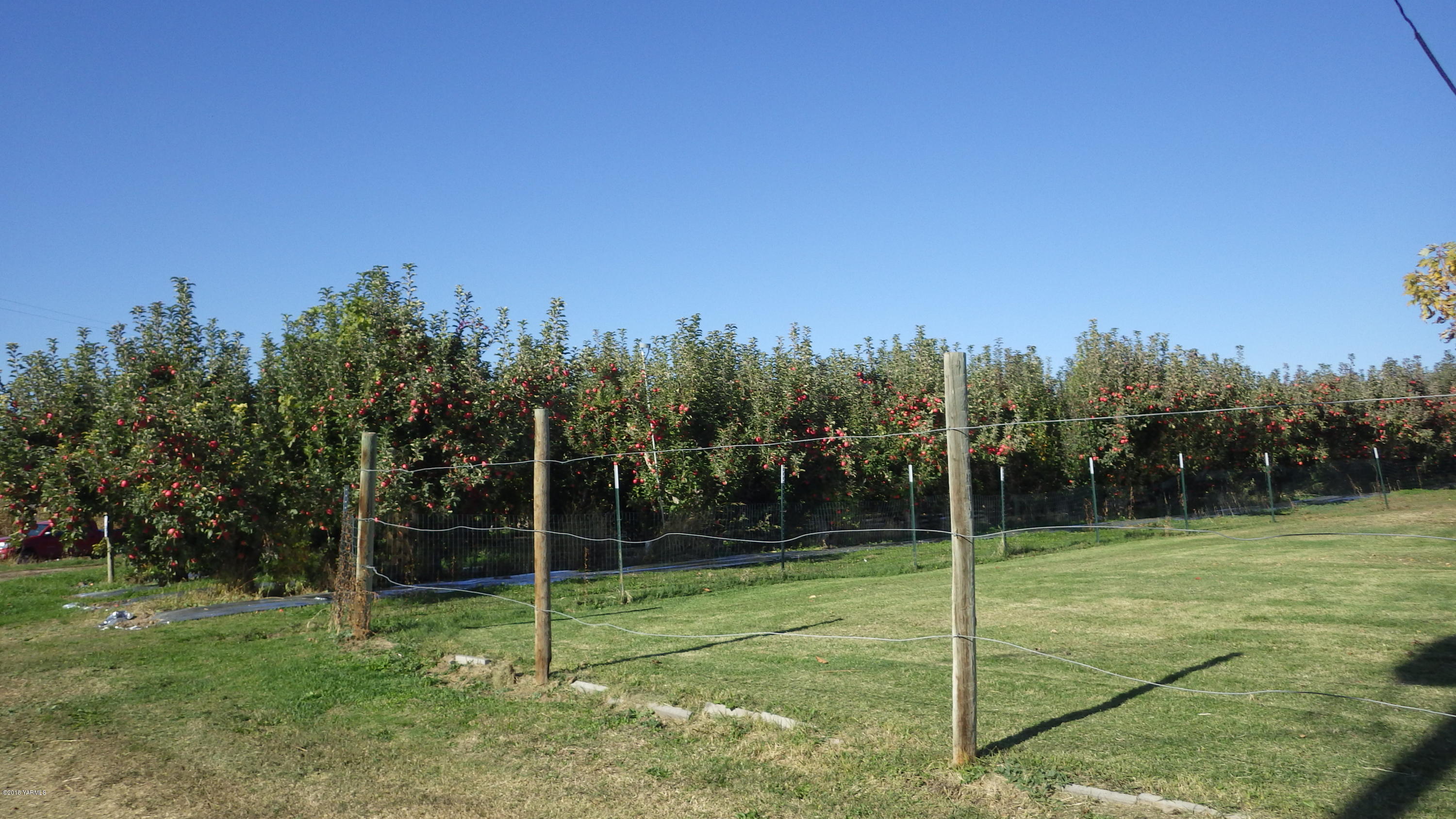 261 Zickler Road Zillah, WA 98953 - Photo 3 of 3 a view of a park with a tree