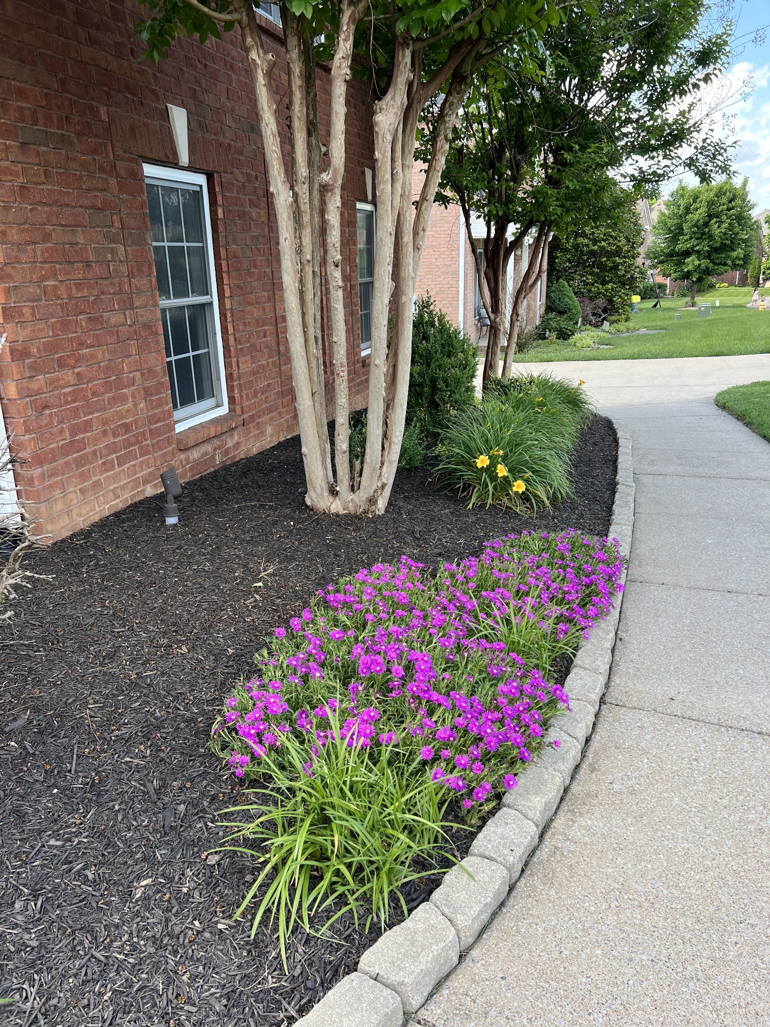 124 Cedar Ridge Lane Hendersonville, TN 37075 - Photo 60 of 66