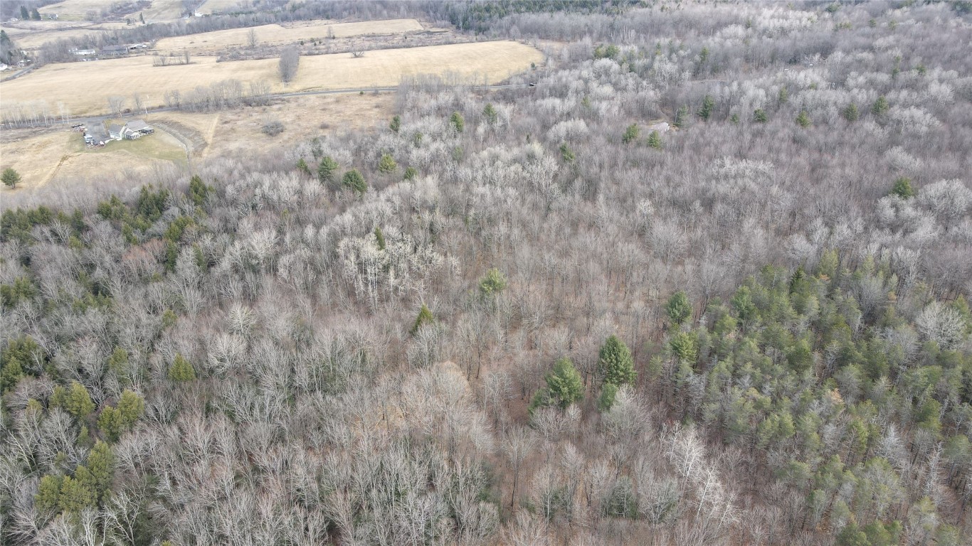 Lot #2 Geiss Road Greene, NY 13778 - Photo 8 of 12 Gallery Image 8