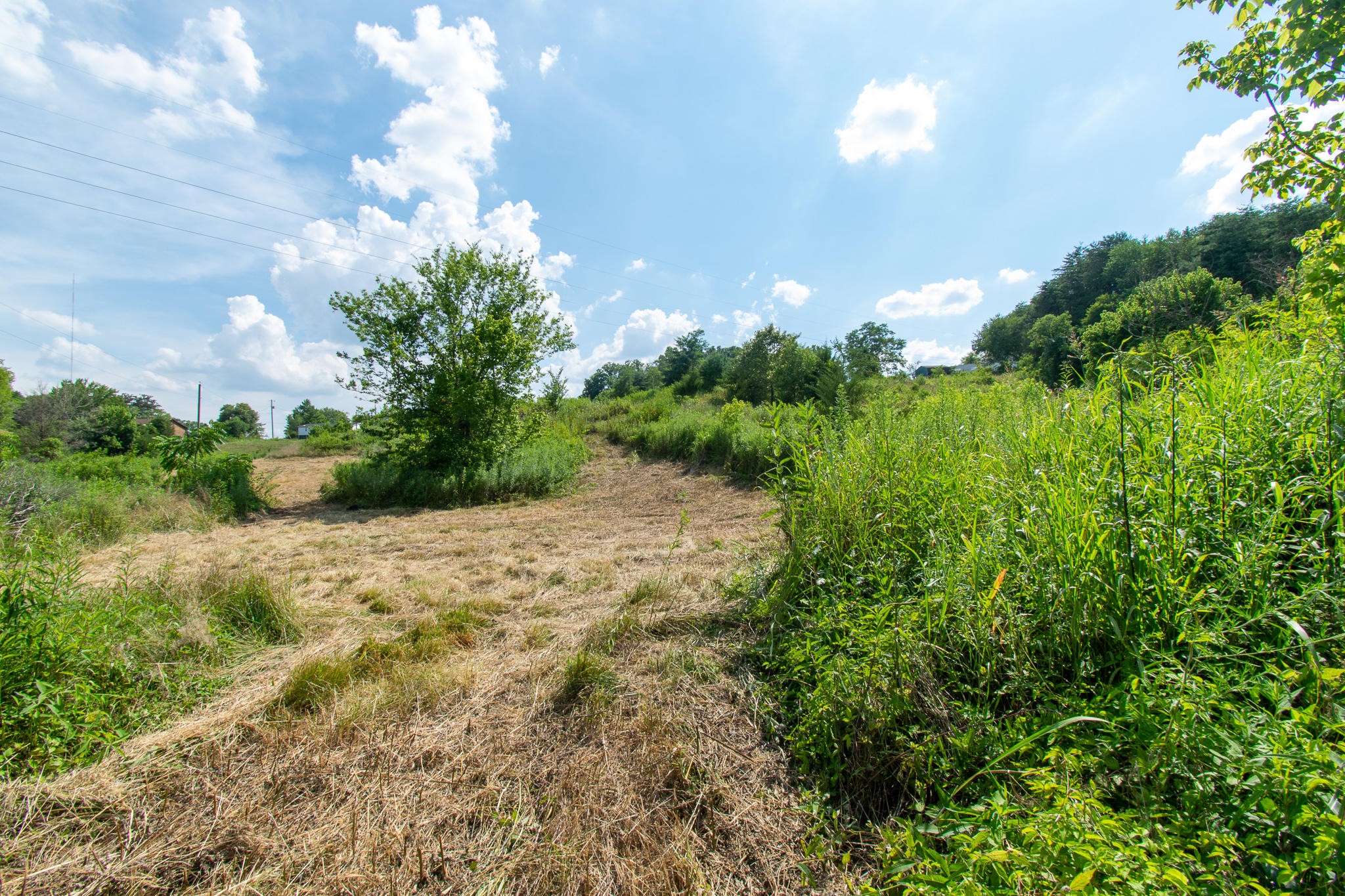 136 Mountain Road Blaine, TN 37709 - Photo 11 of 21 a view of a yard