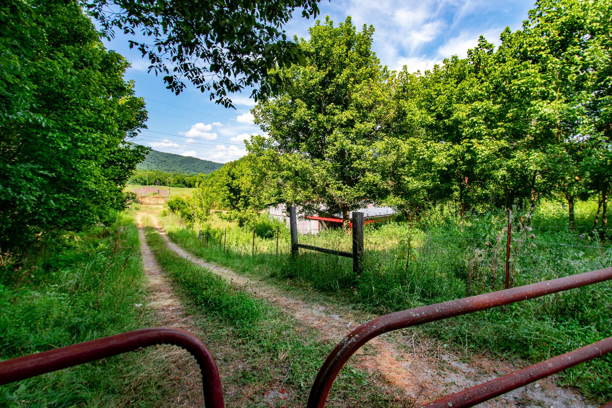 136 Mountain Road Blaine, TN 37709 - Photo 5 of 21 a view of a yard and deck
