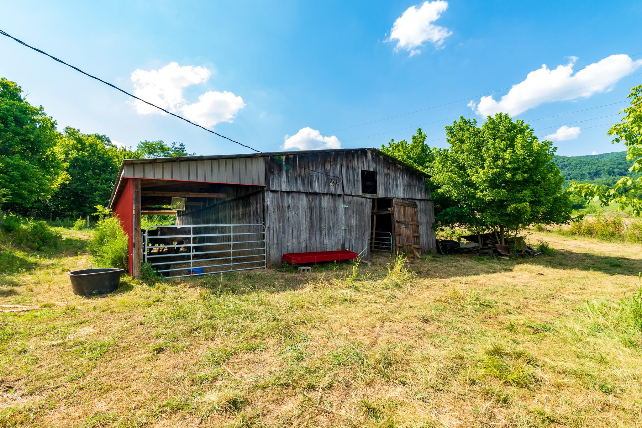 136 Mountain Road Blaine, TN 37709 - Photo 6 of 21 a view of a backyard