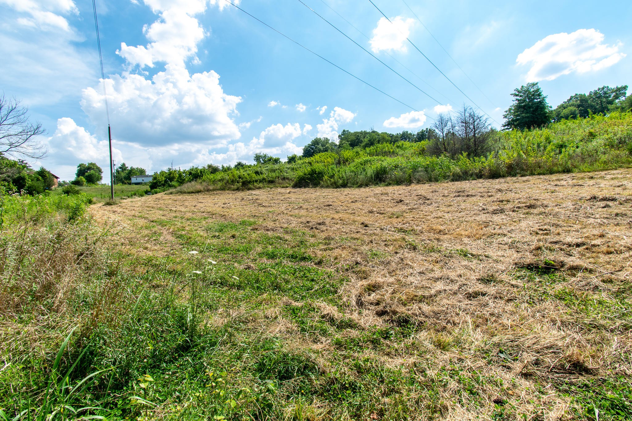 136 Mountain Road Blaine, TN 37709 - Photo 7 of 21 a view of an ocean beach