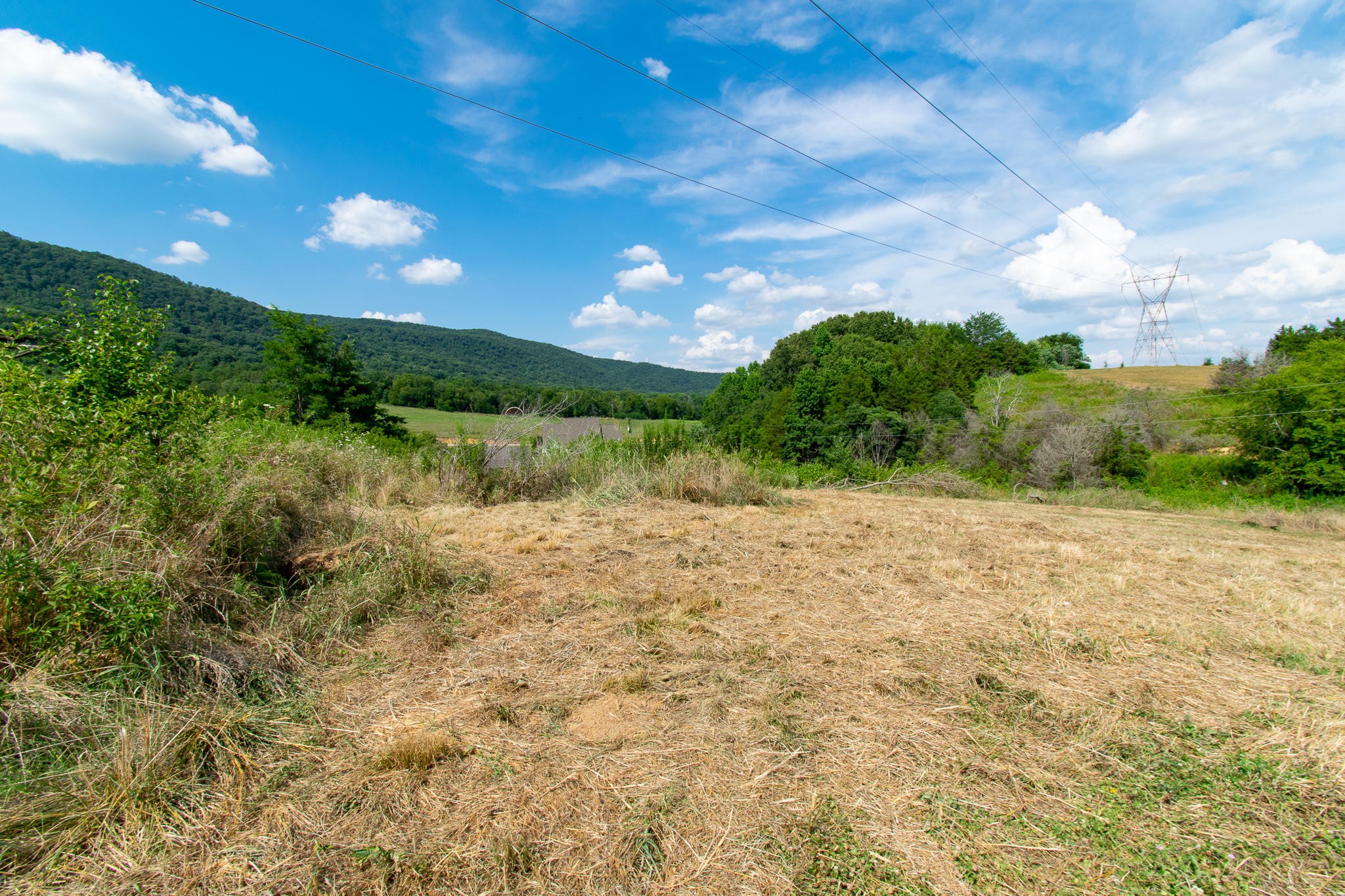 136 Mountain Road Blaine, TN 37709 - Photo 8 of 21 a view of a lake