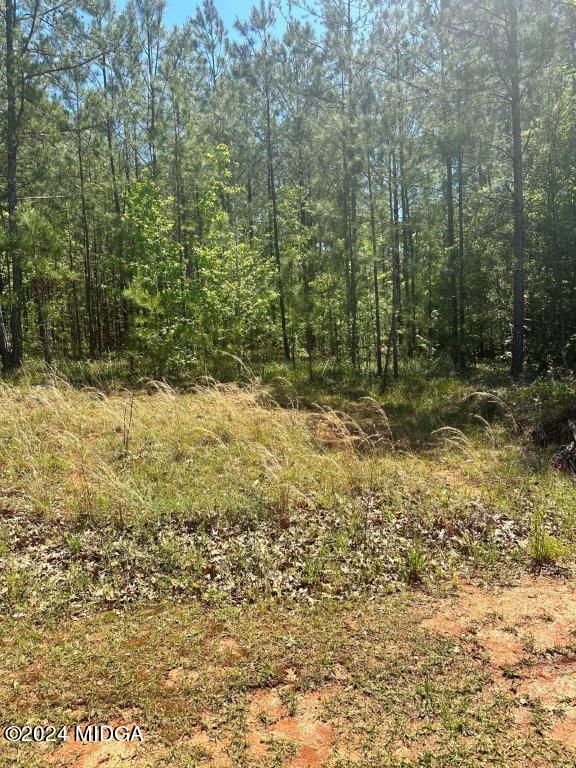 0 Marion-Ripley Road Jeffersonville, GA 31044 - Photo 3 of 3 Marion B
