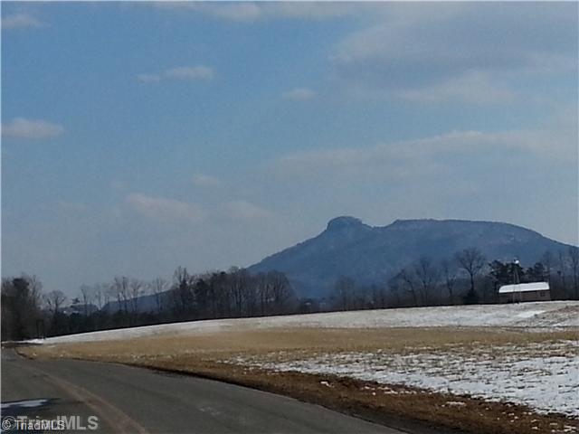 229 Towe Road Pilot Mountain, NC 27041 - Photo 6 of 18 Exterior Front. View from Towe Road