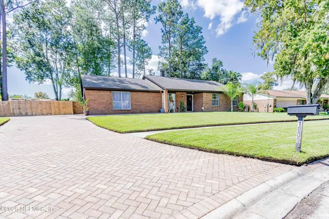 a view of a backyard with potted plants and large trees