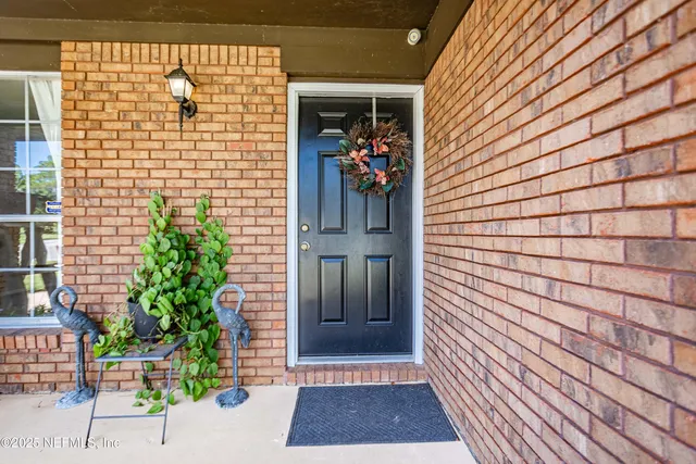 a view of a backyard with large trees