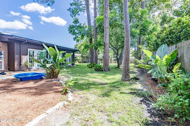 a view of a backyard with large trees