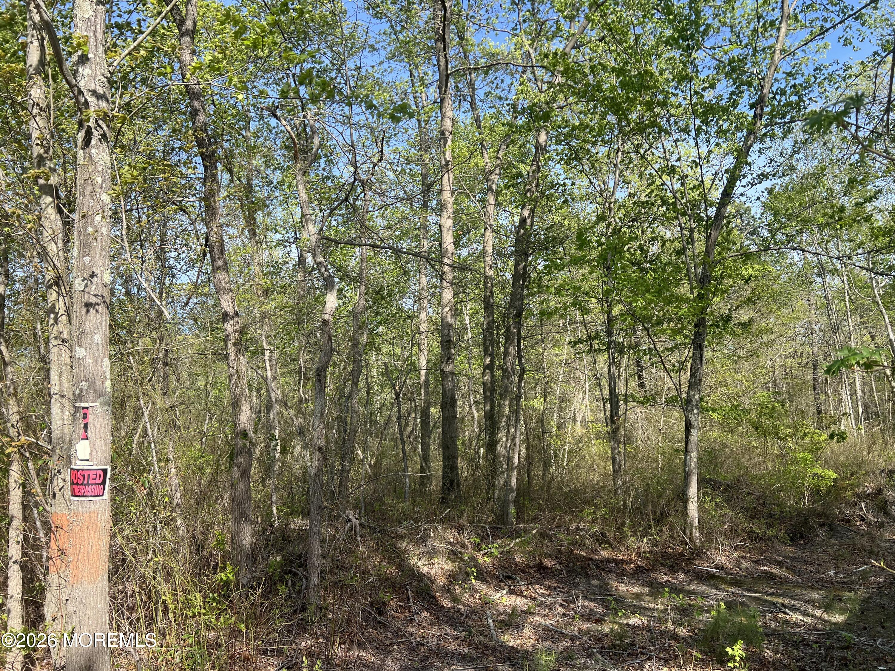36 Freehold Road Jackson, NJ 08527 - Photo 5 of 10 IMG_8537