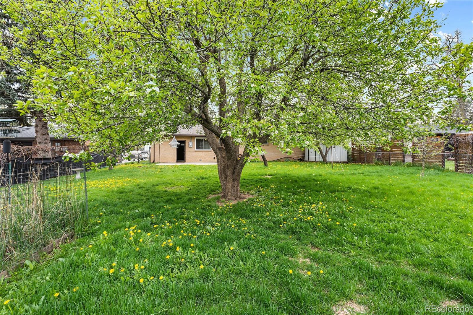 1971 Evergreen Avenue Boulder, CO 80304 - Photo 7 of 36 a view of a house with a big yard