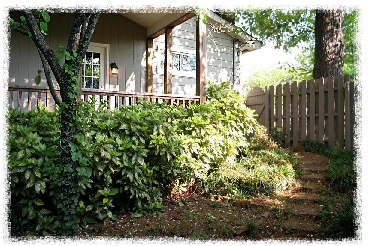 3507 Rhoda Lane Chattanooga, TN 37416 - Photo 5 of 34 IMG_0580copy
