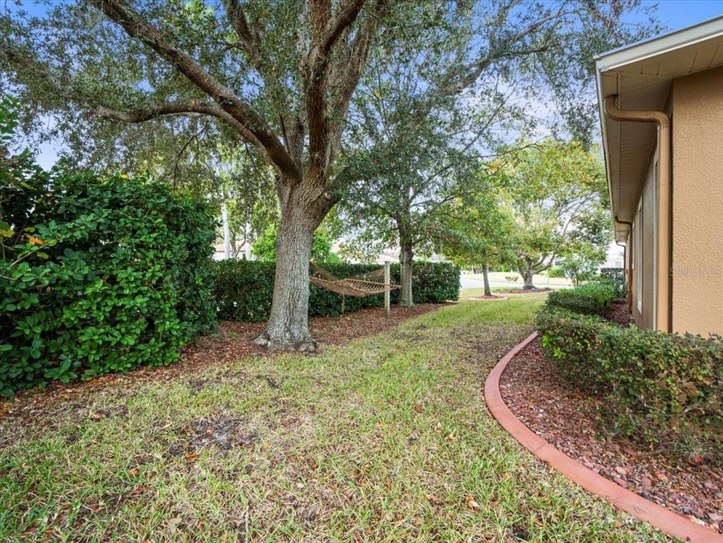 8480 Athens Court Weeki Wachee, FL 34613 - Photo 51 of 60 a view of a backyard with large trees
