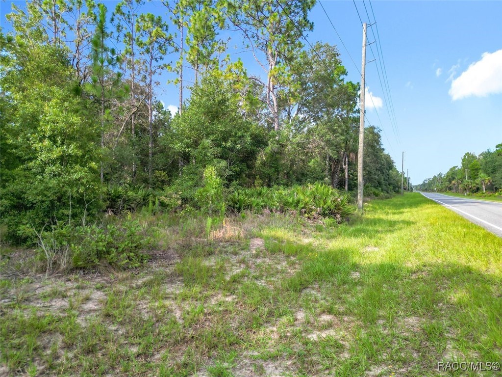 10488 West Dunnellon Road Crystal River, FL 34428 - Photo 7 of 10 Gallery Image 7