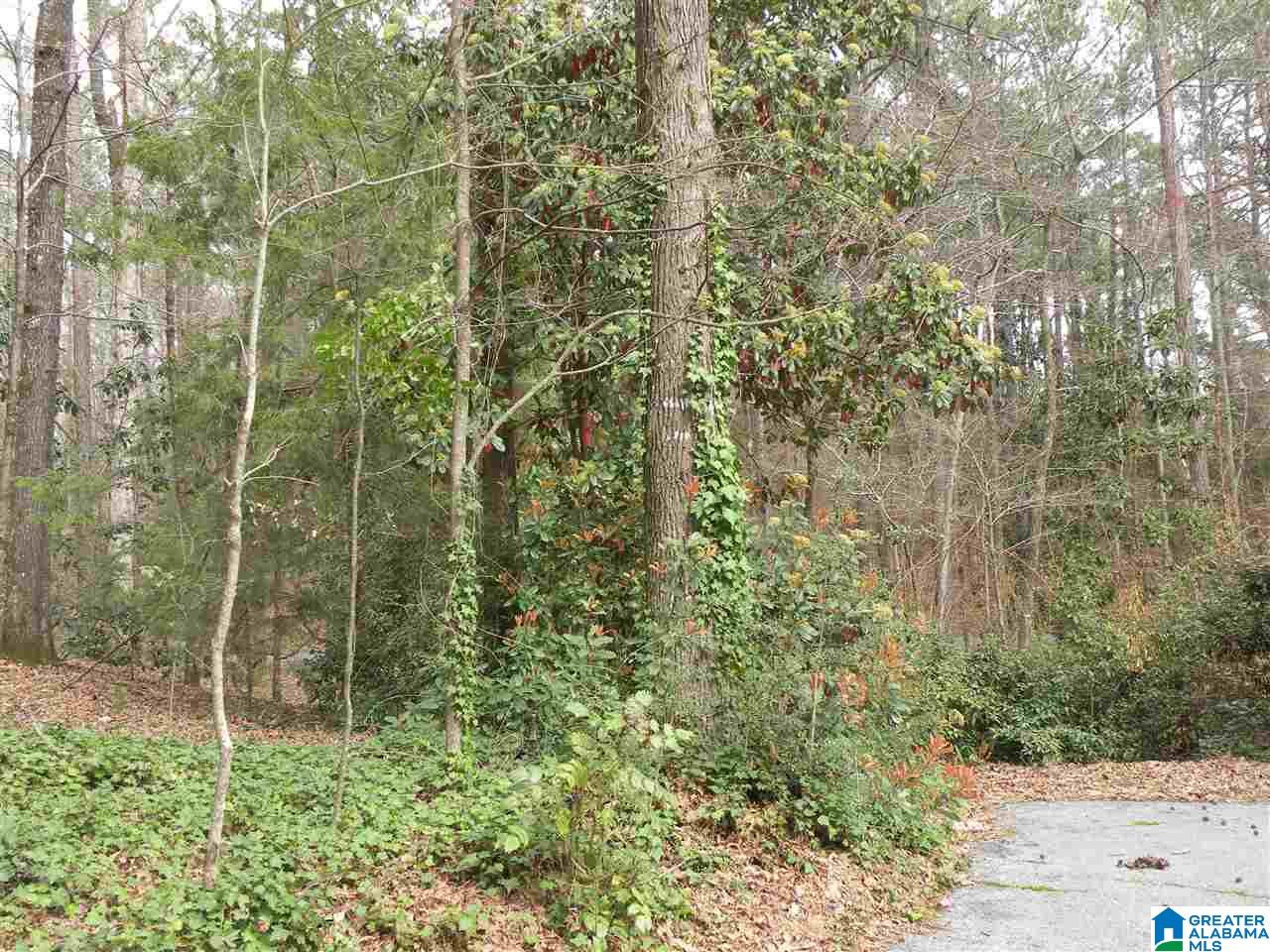 2423 Overhill Road Sylacauga, AL 35150 - Photo 32 of 38