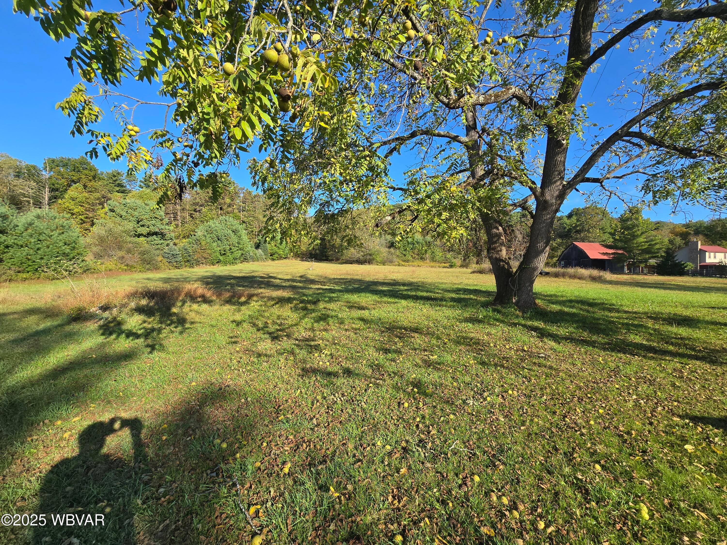 601 Dutch Hollow Road Jersey Shore, PA 17740 - Photo 29 of 32 20251003_090900