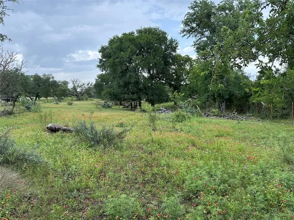 a view of a lush green space