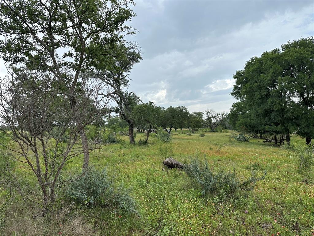 8343 County Road 270 Zephyr, TX 76890 - Photo 18 of 38 a view of outdoor space with green field and trees all around