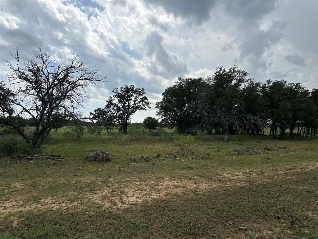8343 County Road 270 Zephyr, TX 76890 - Photo 19 of 38 a view of outdoor space with trees all around