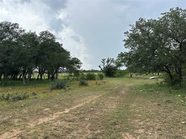a view of outdoor space with trees all around