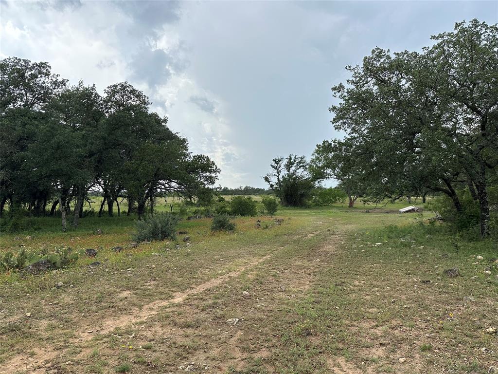 8343 County Road 270 Zephyr, TX 76890 - Photo 21 of 38 a view of outdoor space with trees all around