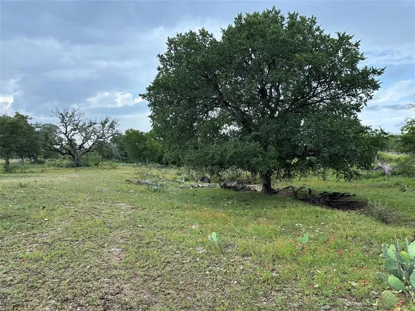 a view of a green field with trees