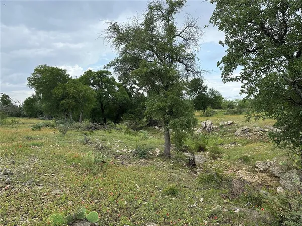 a view of a green field with lots of bushes