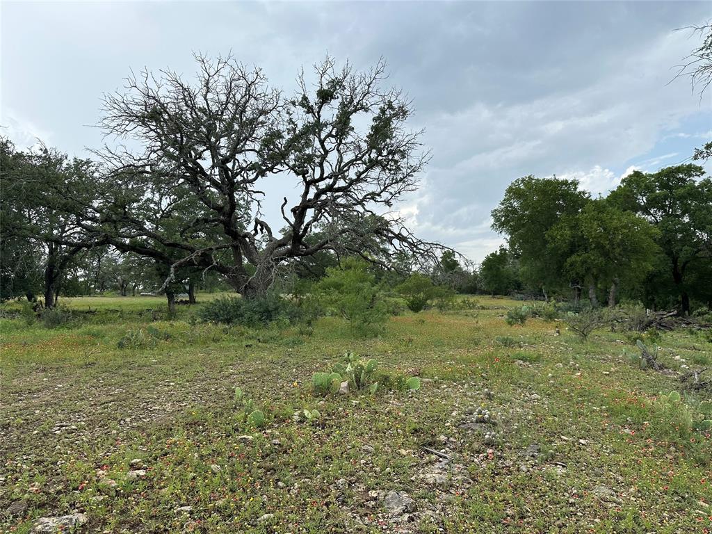 8343 County Road 270 Zephyr, TX 76890 - Photo 24 of 38 a big yard with lots of green space and trampoline