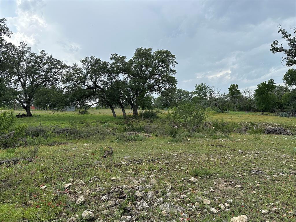 8343 County Road 270 Zephyr, TX 76890 - Photo 25 of 38 a big yard with lots of green space and deers