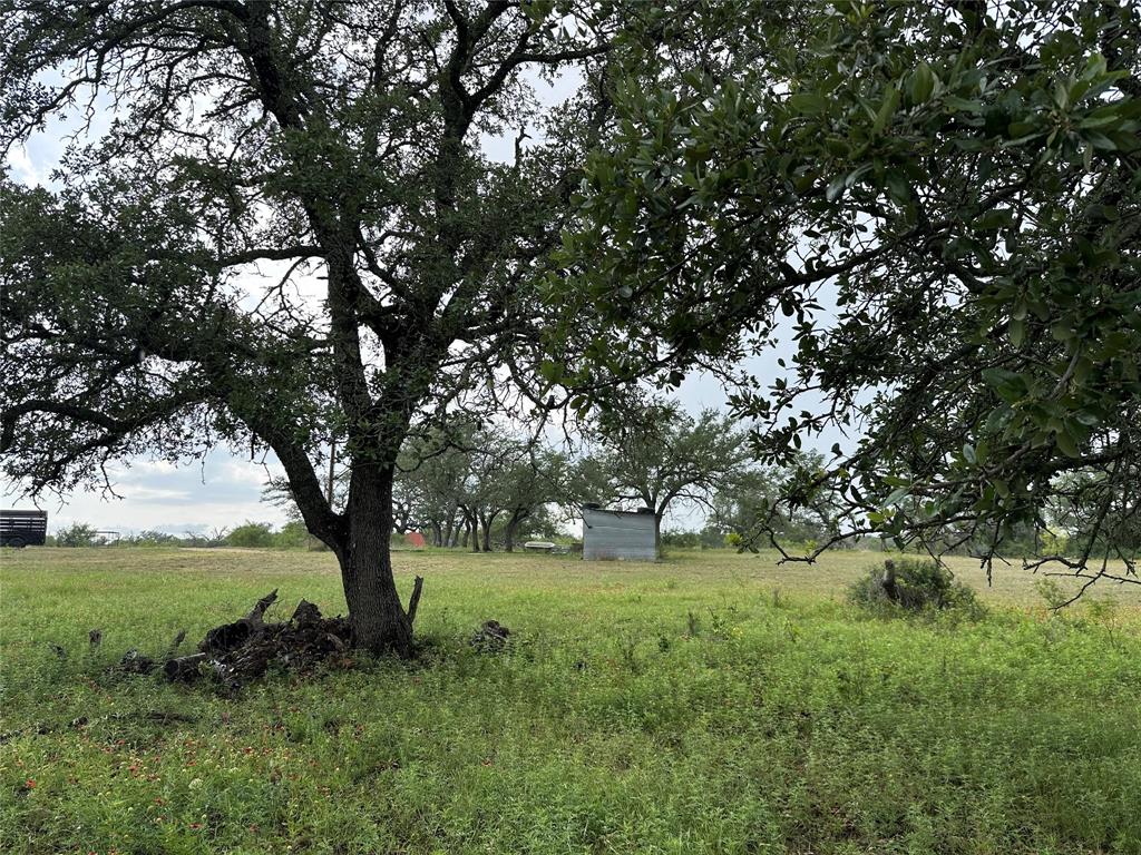8343 County Road 270 Zephyr, TX 76890 - Photo 27 of 38 a view of outdoor space with a yard