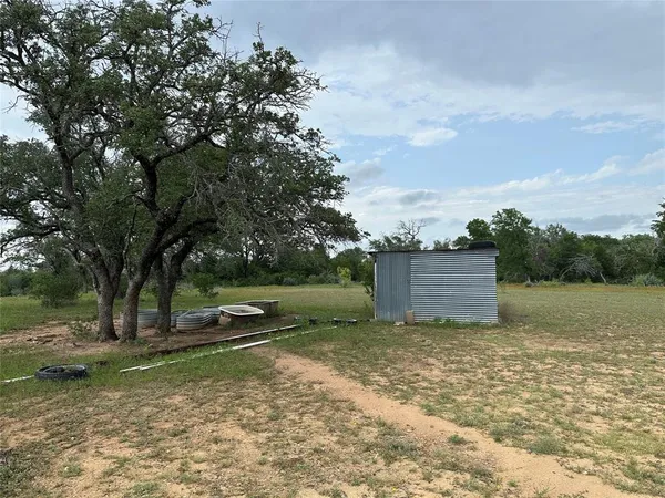 a view of a tree with a yard