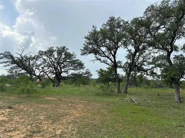 a view of a grassy field with trees