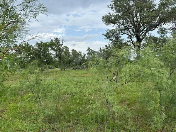 a view of a green field with lots of bushes