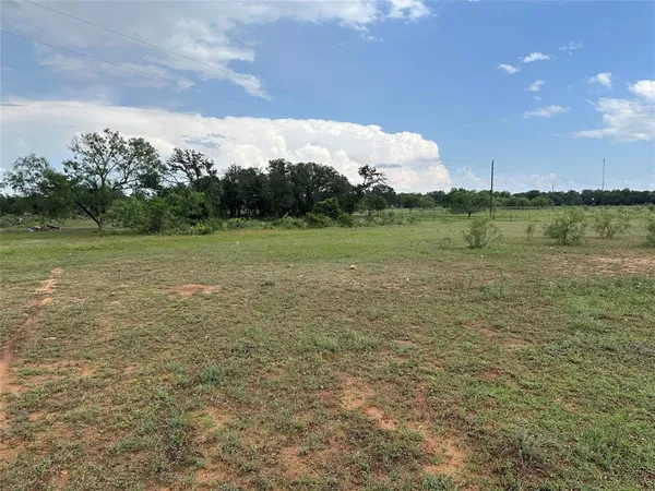 a view of a field with an trees