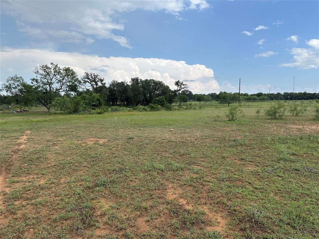 8343 County Road 270 Zephyr, TX 76890 - Photo 34 of 38 a view of a field with an trees
