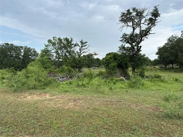 a view of a yard with a tree