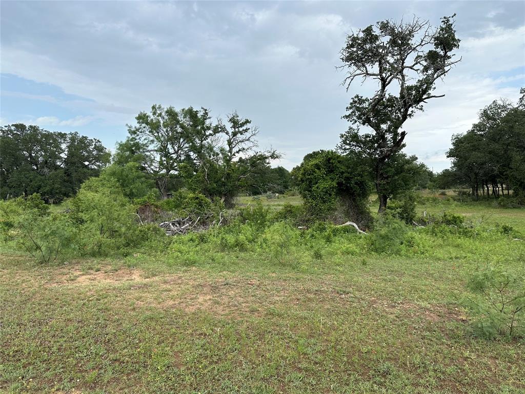 8343 County Road 270 Zephyr, TX 76890 - Photo 35 of 38 a view of a yard with a tree