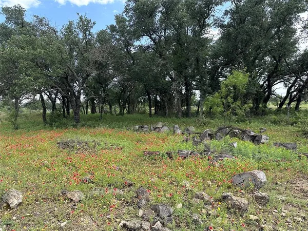 a big yard with lots of green space and deers