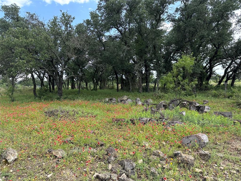 8343 County Road 270 Zephyr, TX 76890 - Photo 37 of 38 a big yard with lots of green space and deers