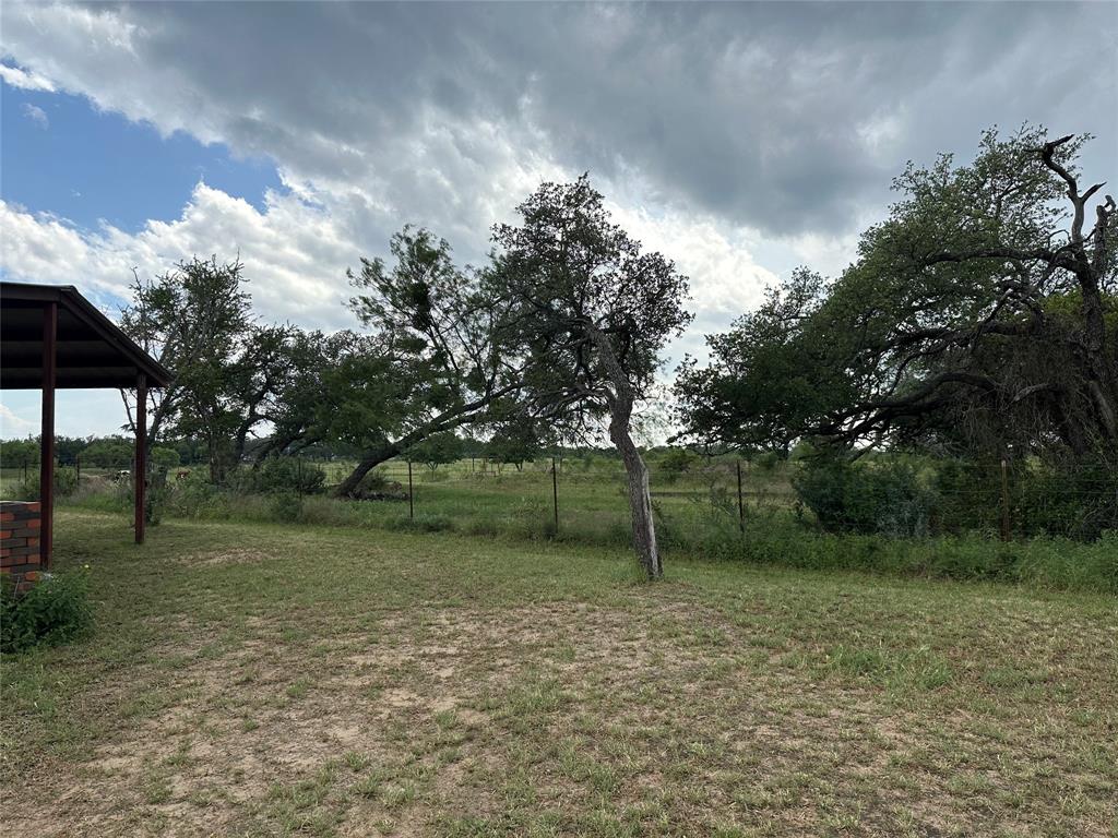 8343 County Road 270 Zephyr, TX 76890 - Photo 6 of 38 a backyard of a house with lots of green space