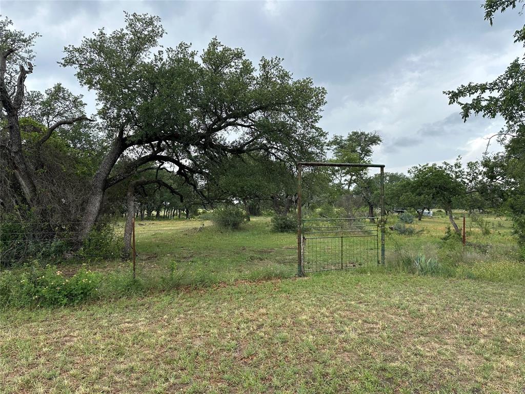 8343 County Road 270 Zephyr, TX 76890 - Photo 8 of 38 a view of backyard with green space