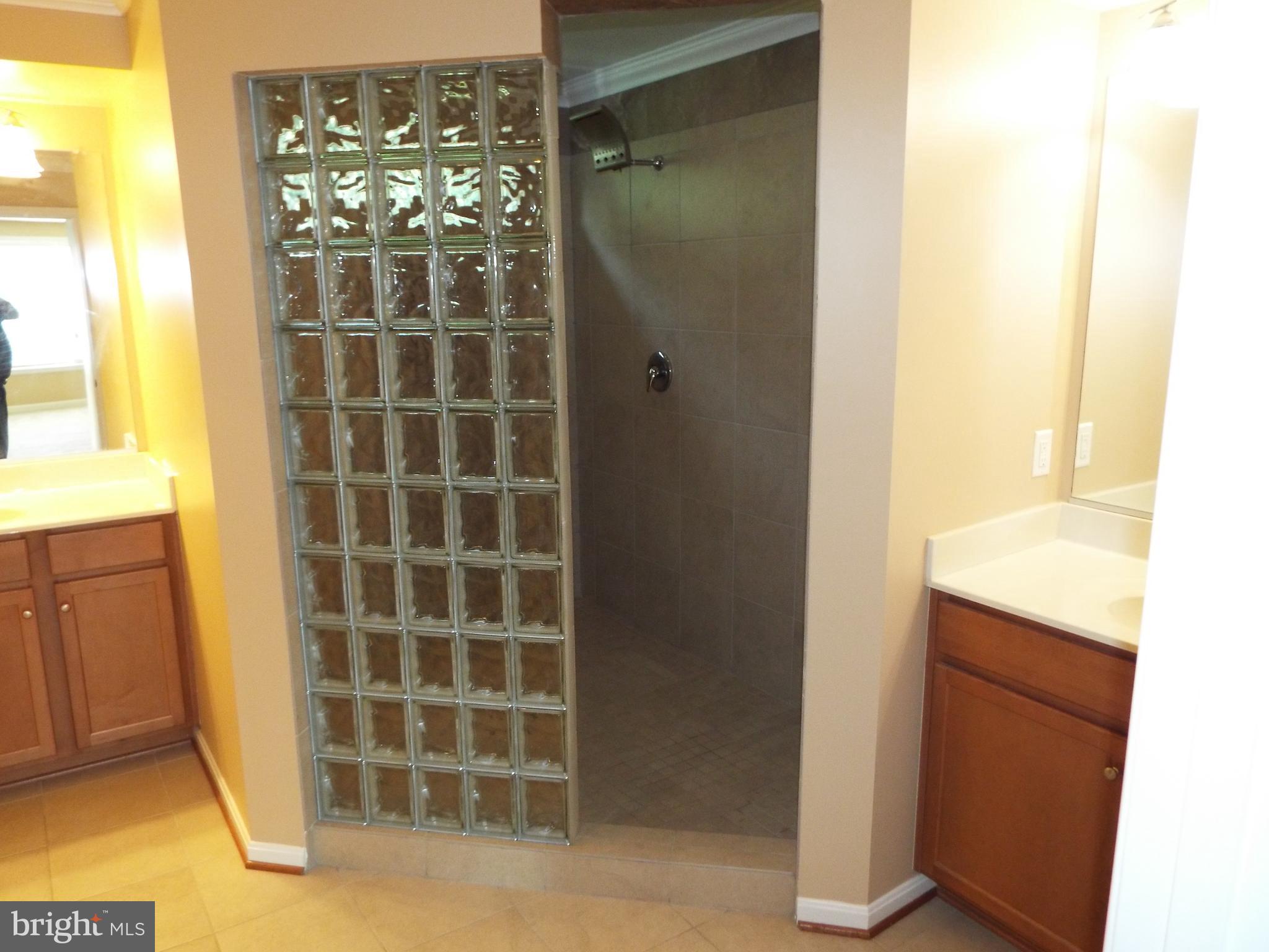 8177 Ridgely Loop Severn, MD 21144 - Photo 22 of 44 Luxury Bath