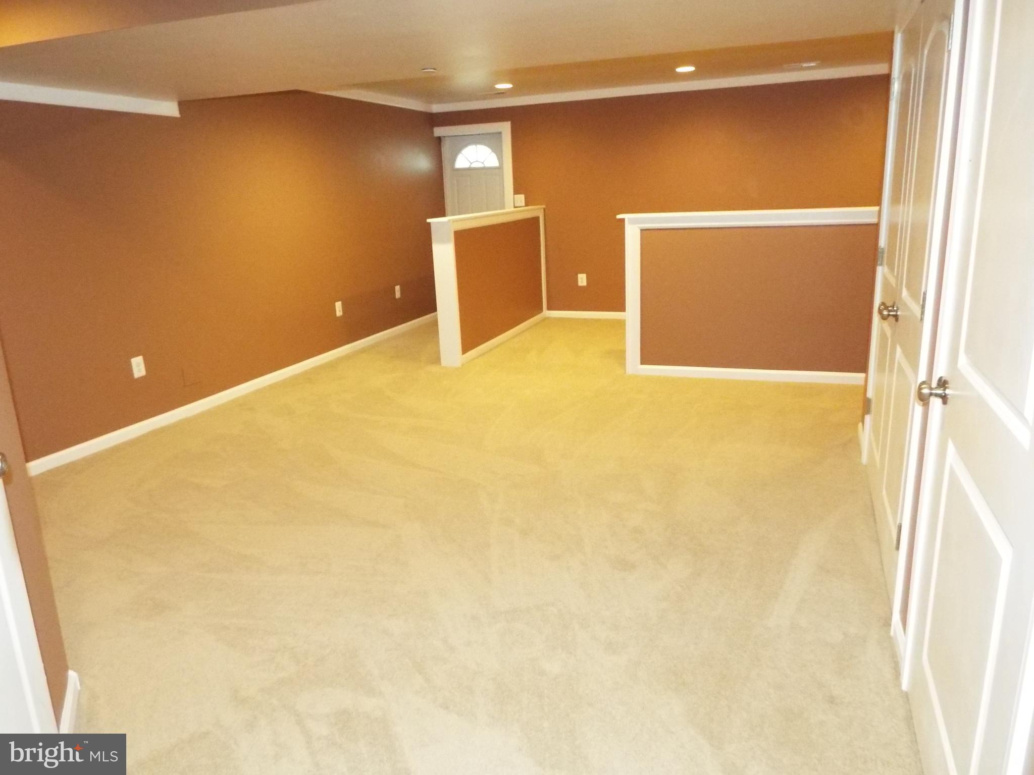 Fully Finished Lower Level