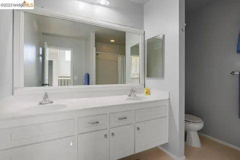 a view of a potted plants with sky view