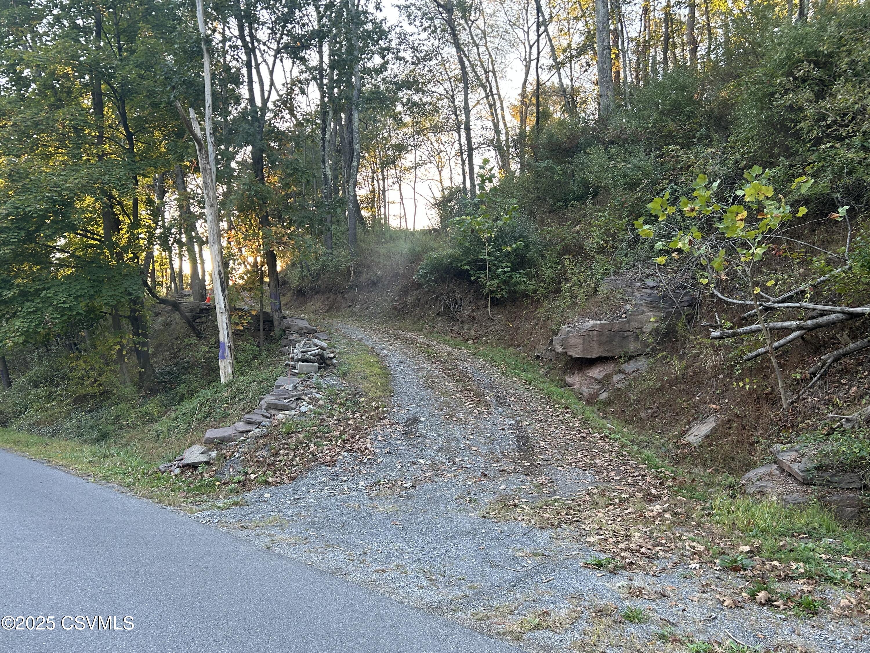 Ridge Road Cogan Station, PA 17728 - Photo 1 of 11