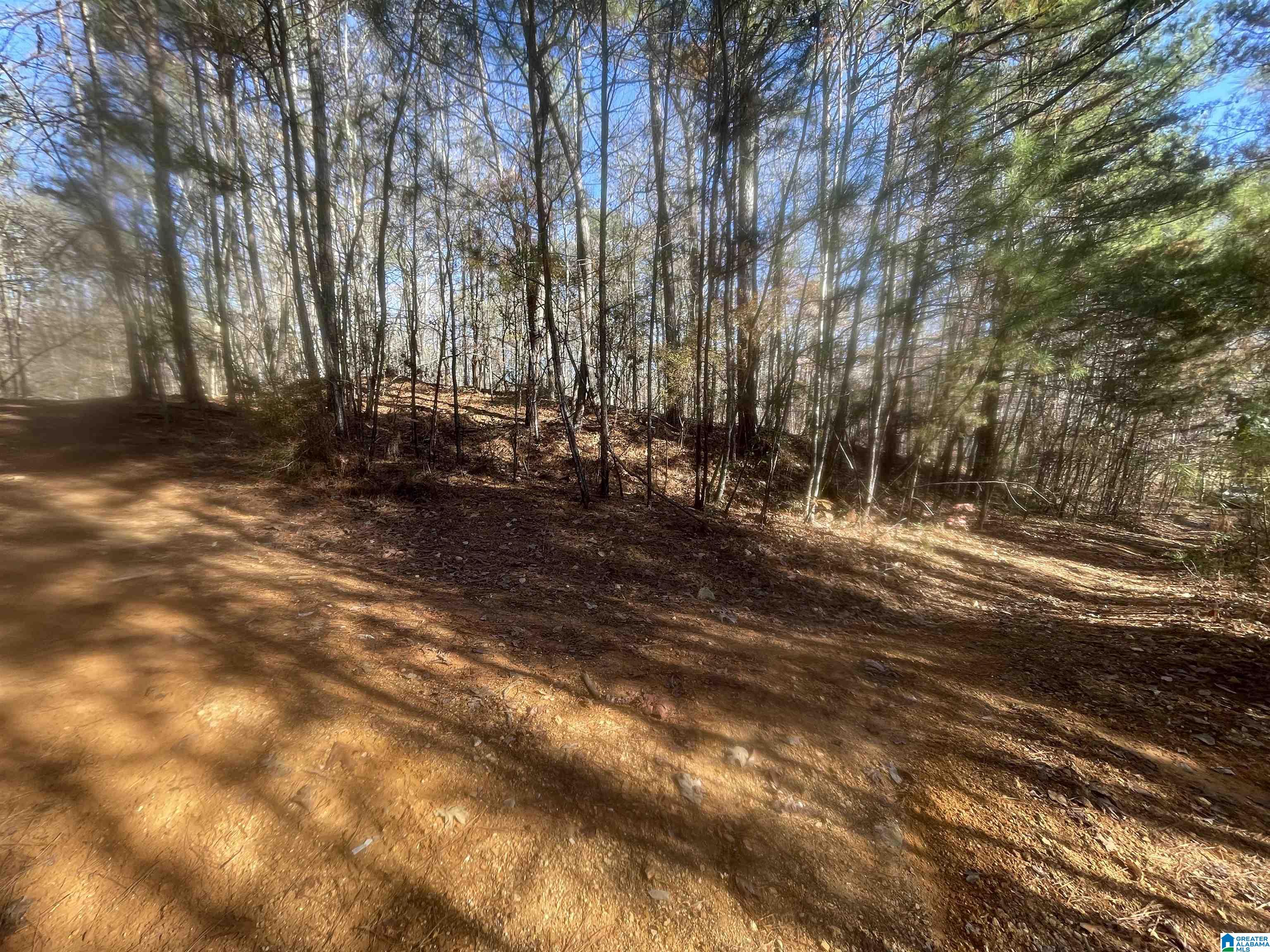 Edgewood Drive, Unit 2 McCalla, AL 35111 - Photo 11 of 14