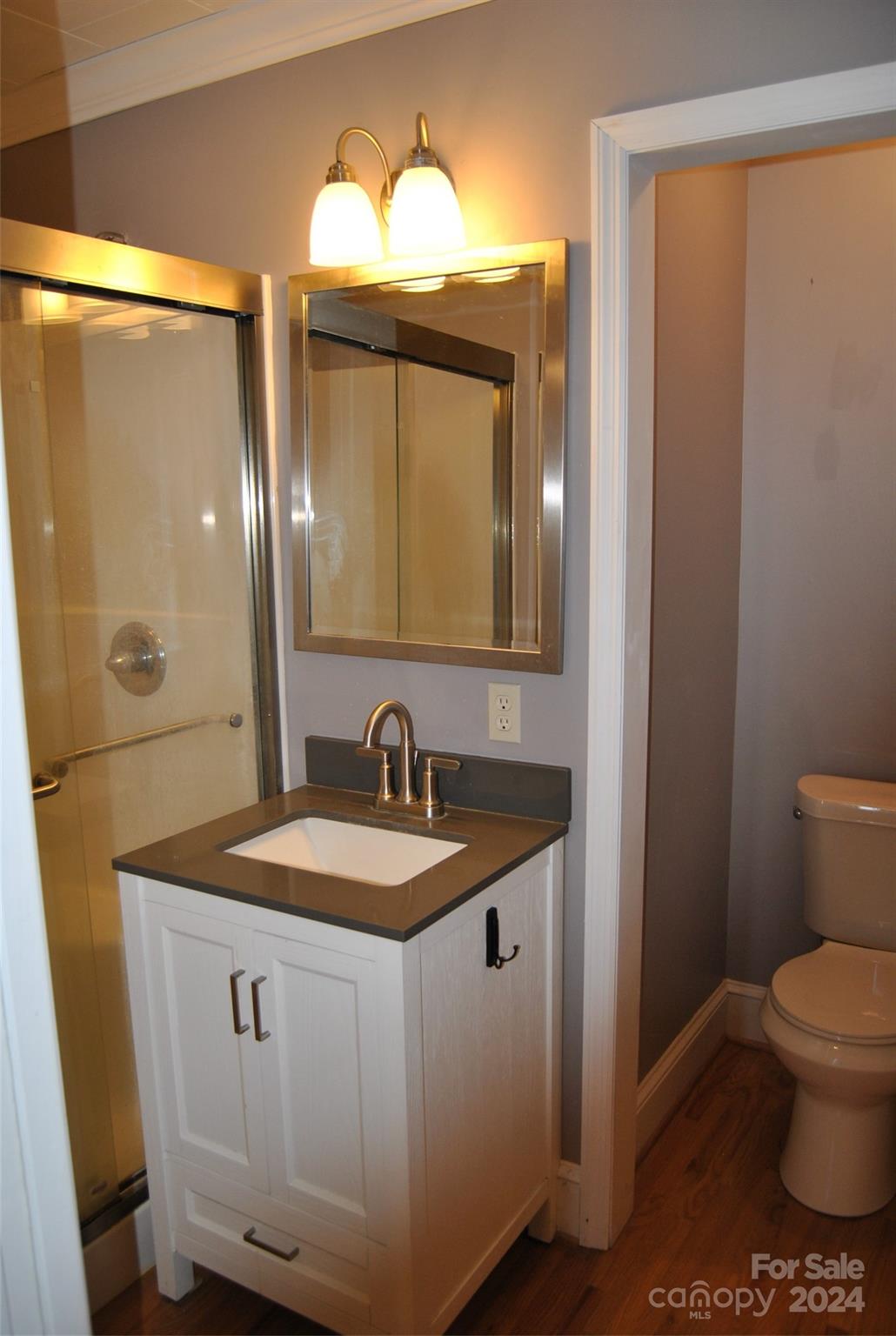 2122 Old Pageland Monroe Road Monroe, NC 28112 - Photo 6 of 24 a bathroom with a sink a toilet and mirror
