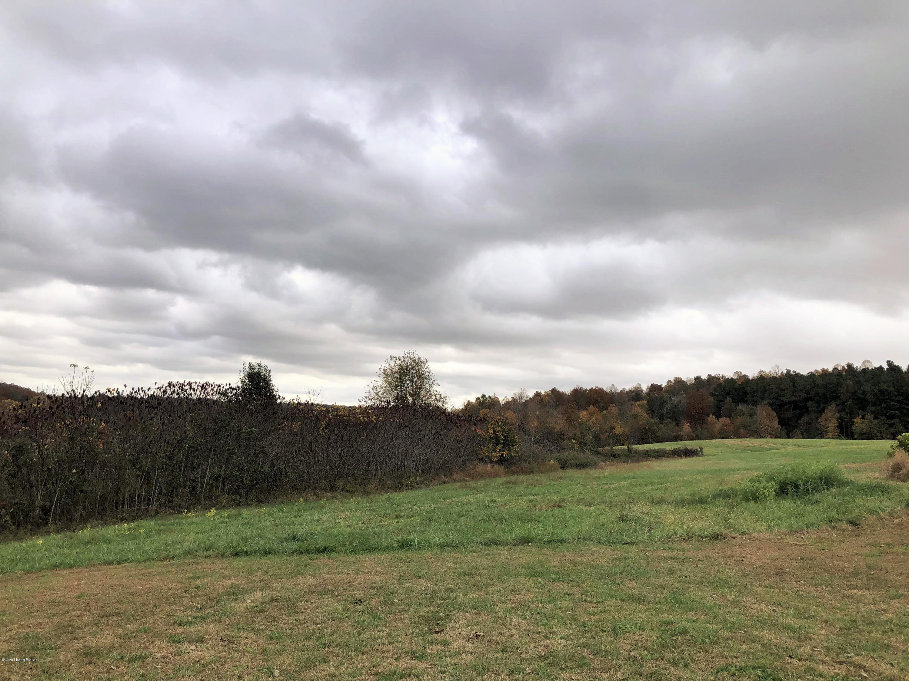 243 Old Peth Road Caneyville, KY 42721 - Photo 68 of 72 2020-10-23_11-33-04_013 (2)